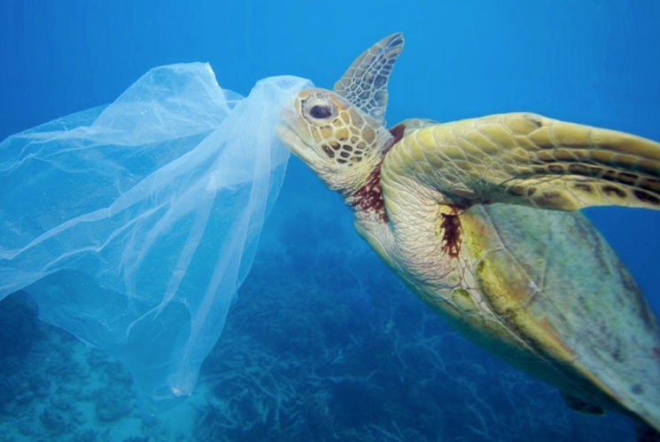 10 глобальних проблем, які сьогодні вирішують технології