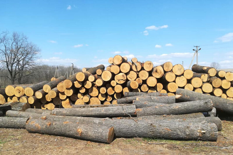 Біржові торги - єдиний спосіб купити необроблену деревину в Україні