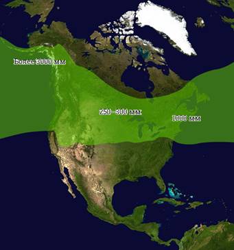 Клімат північної Америки - в яких поясах лежить Північна Америка