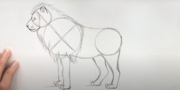 Як намалювати лева - різні способи малювання лева
