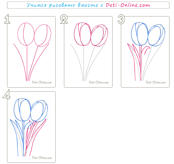 Як намалювати тюльпан - Q&A - У вас питання? - У нас відповідь!