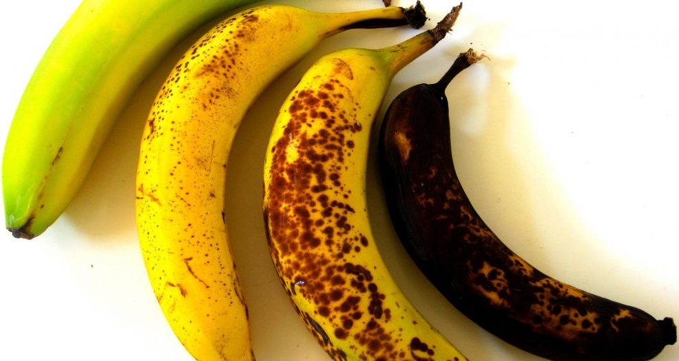 Як зберігати продукти, щоб вони не псувалися