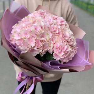 Гортензии букеты — объем и изысканность в каждом соцветии