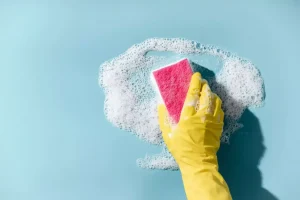 Важливість купівлі товарів для прибирання оптом
